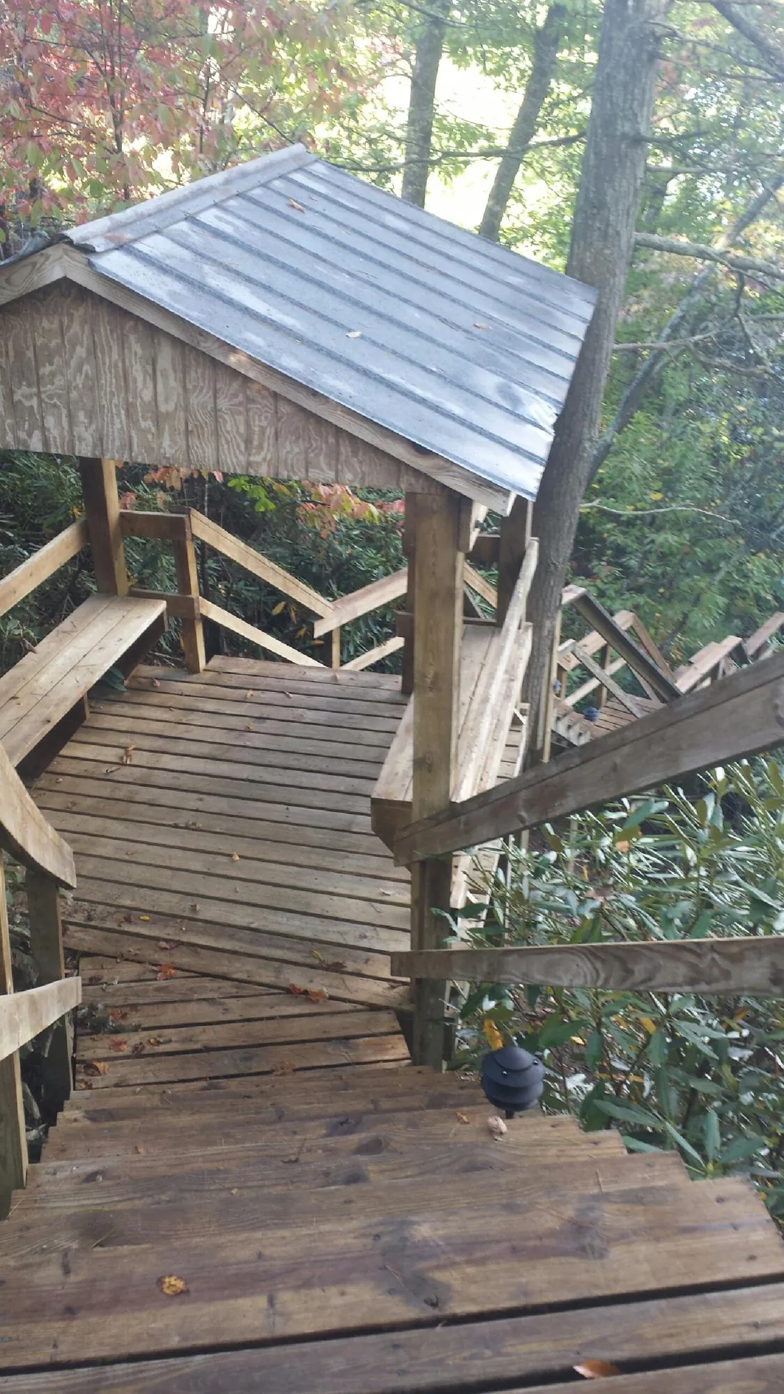 Metal roofed shelter over wooden steps on a wooded walkway — Skylight Repair & Installation work by our crew in Paradise