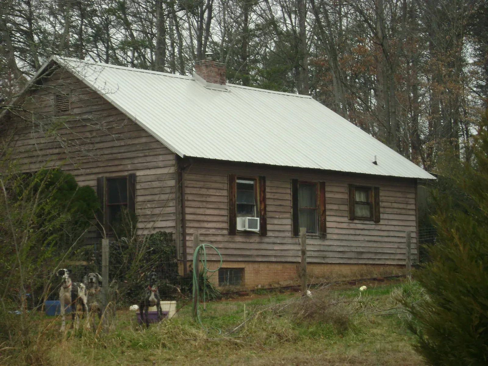 White metal roof on an old wood sided farmhouse, from a Asphalt Shingle Roof Repair job in Paradise